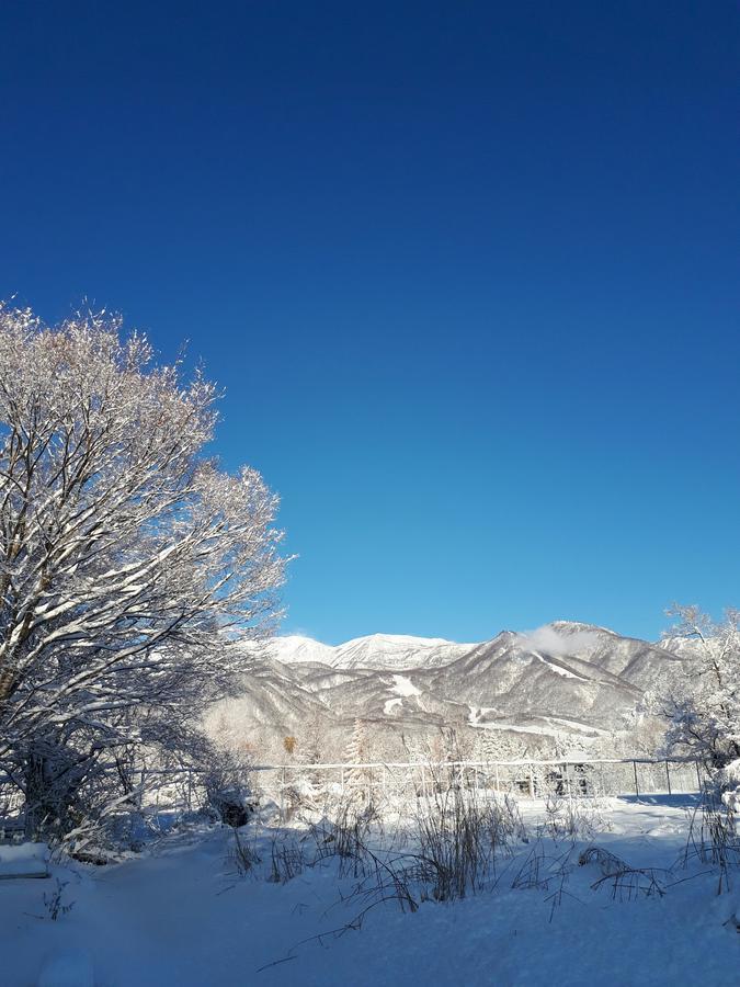 Pension Snow Hakuba Esterno foto