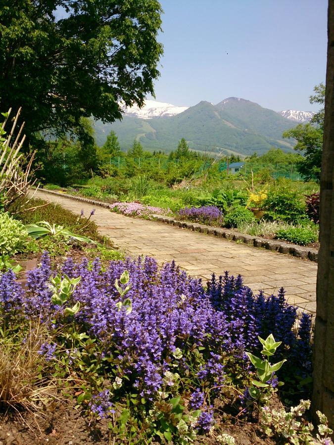 Pension Snow Hakuba Esterno foto